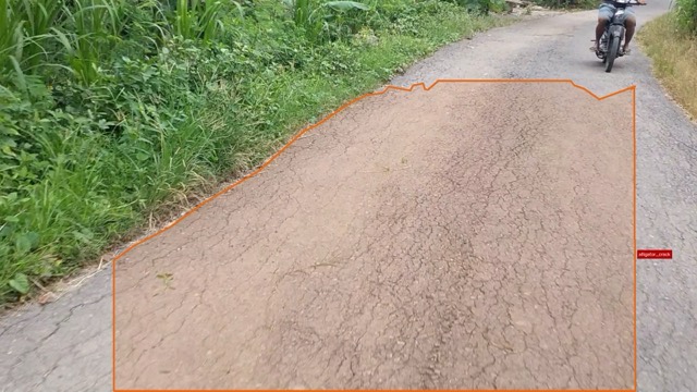 Alligator Crack